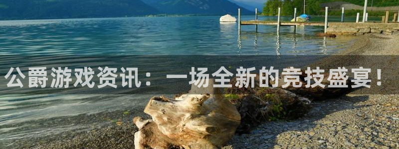 辉达娱乐注册登录平台：公爵游戏资讯：一场全新的竞技盛宴！
