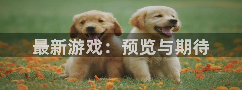 辉达娱乐官方平台：最新游戏：预览与期待