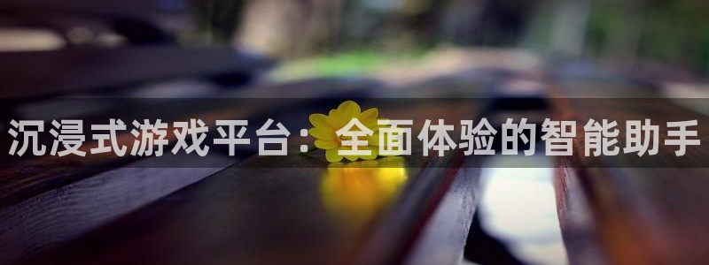 辉达娱乐科技：沉浸式游戏平台：全面体验的智能助手