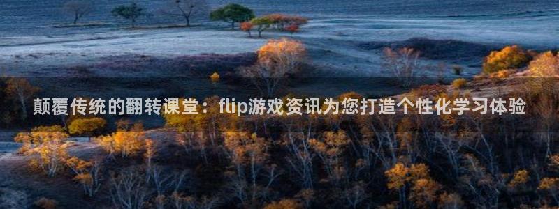 辉达娱乐平台官方网站：颠覆传统的翻转课堂：flip游戏资讯为