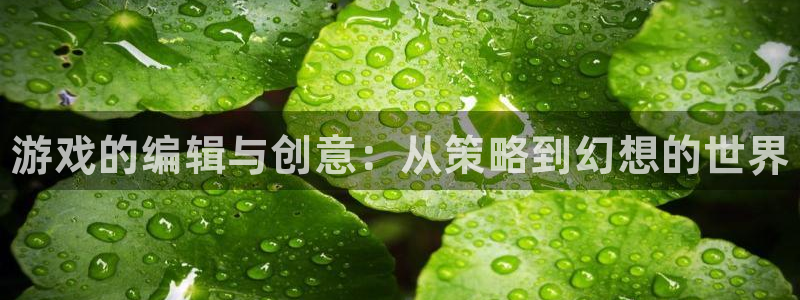 辉达娱乐娱乐是真的吗：游戏的编辑与创意：从策略到幻想的世界