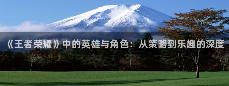 辉达娱乐登录：《王者荣耀》中的英雄与角色：从策略到乐趣的深度