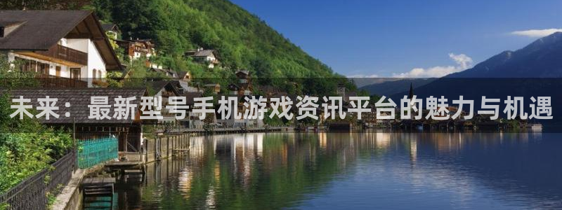 辉达娱乐是什么