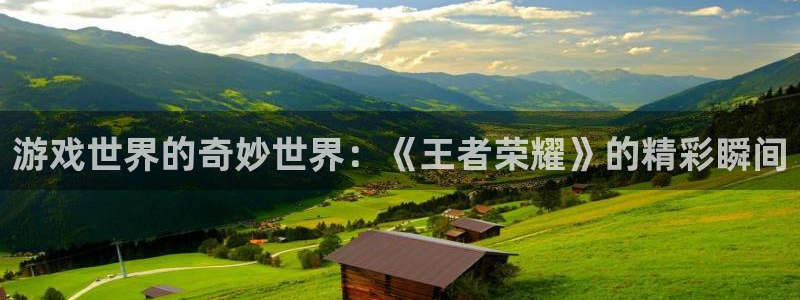 辉达娱乐网址官网