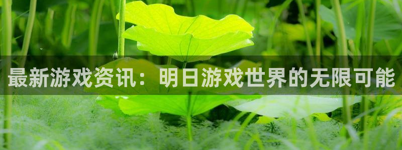 辉达娱乐app下载|下载地址