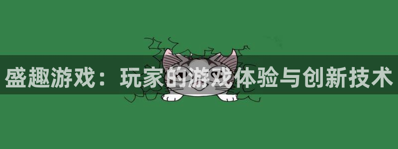 辉达娱乐注册测速：盛趣游戏：玩家的游戏体验与创新技术