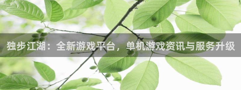 辉达娱乐官网登录：独步江湖：全新游戏平台，单机游戏资讯与服务