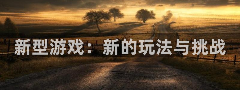 辉达娱乐下载：新型游戏：新的玩法与挑战