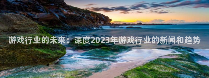 辉达娱乐注册网站:游戏行业的未来:深度2023年游戏行业的新