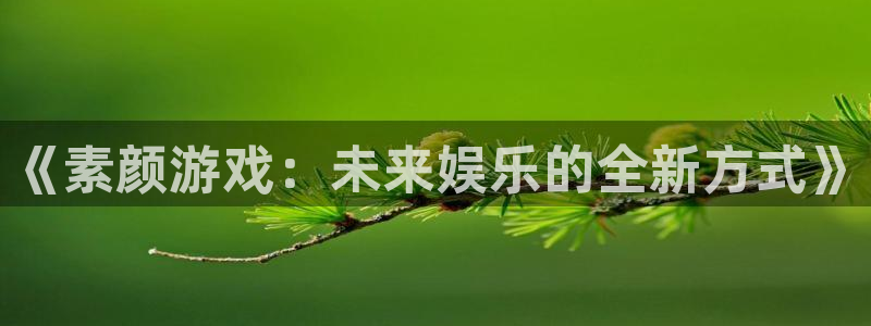 辉达娱乐平台官方网站:《素颜游戏:未来娱乐的全新方式》