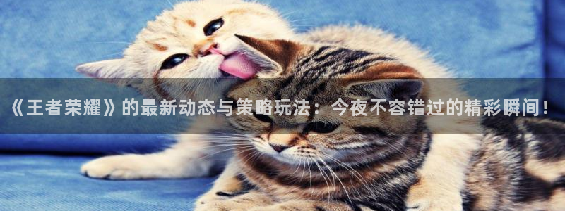辉达娱乐注册:《王者荣耀》的最新动态与策略玩法:今夜不容错过