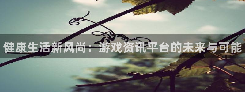 沐春辉达娱乐：健康生活新风尚：游戏资讯平台的未来与可能